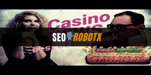 Tentang Provider Slot Online Play’nGo